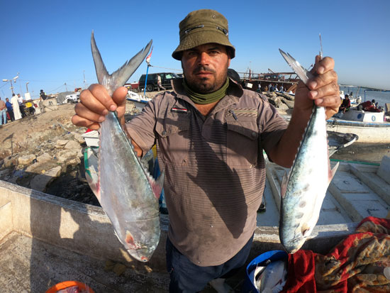 صيد الاسماك بالعراق