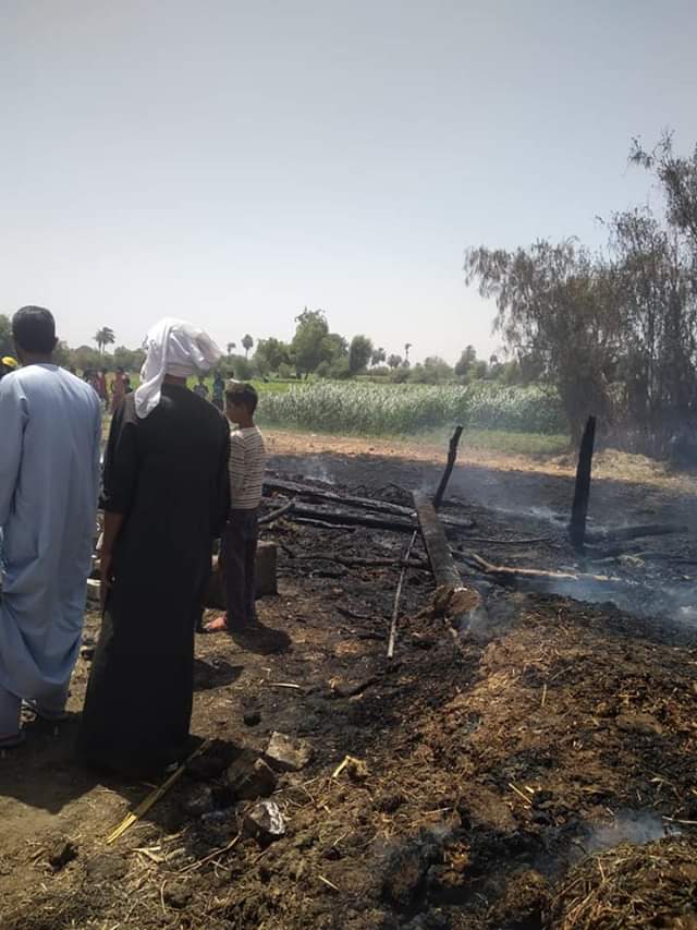 السيطرة على حريق بالحشائش فى إحدى قرى المنيا  (3)