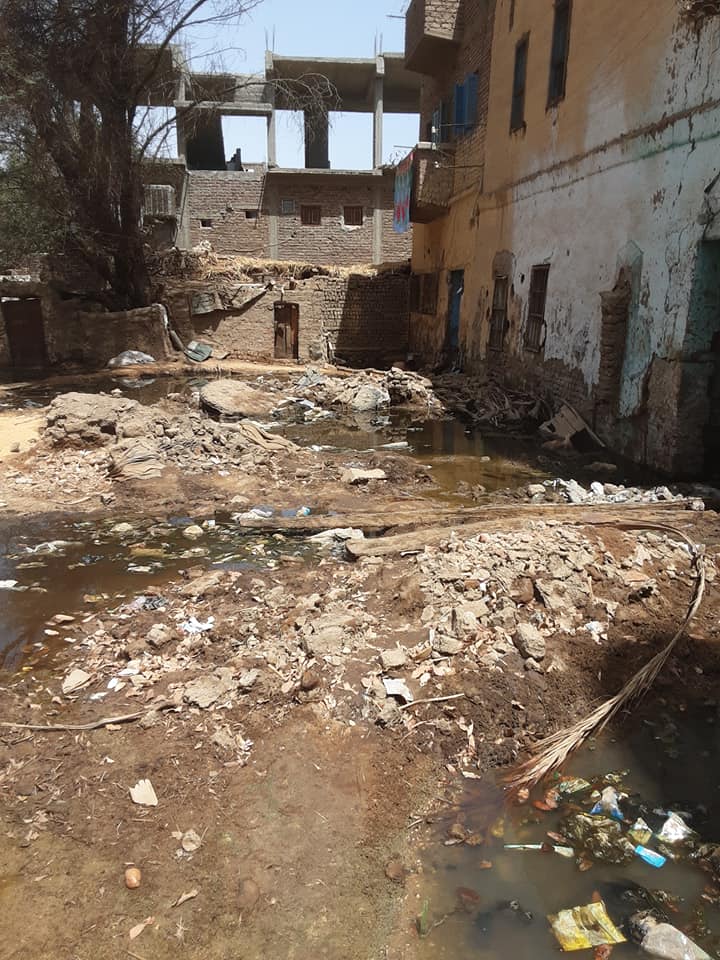تفاقم مشكلة زيادة منسوب المياه الجوفية، بقرية المويسات بادفو    (6)