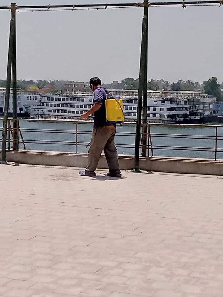 جانب من أعمال التعقيم (11)