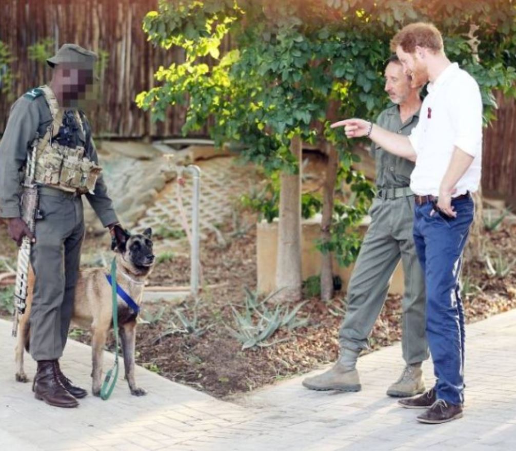 الأمير هاري مع الكلب كيلر