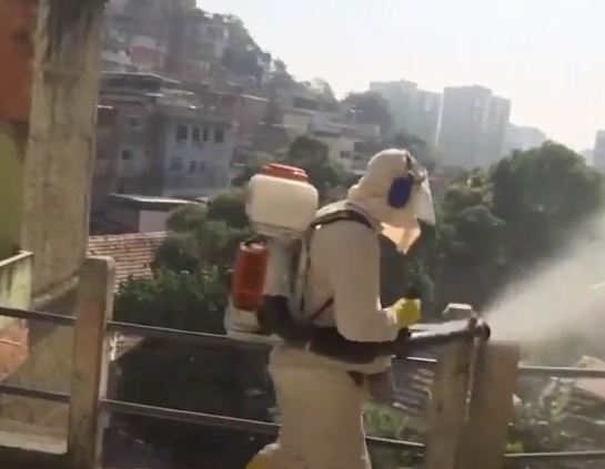 التعقيم فى البرازيل