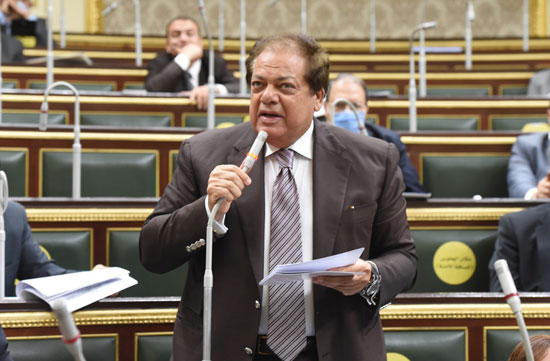 النائب محمد أبو العينين، عضو مجلس النواب (2)