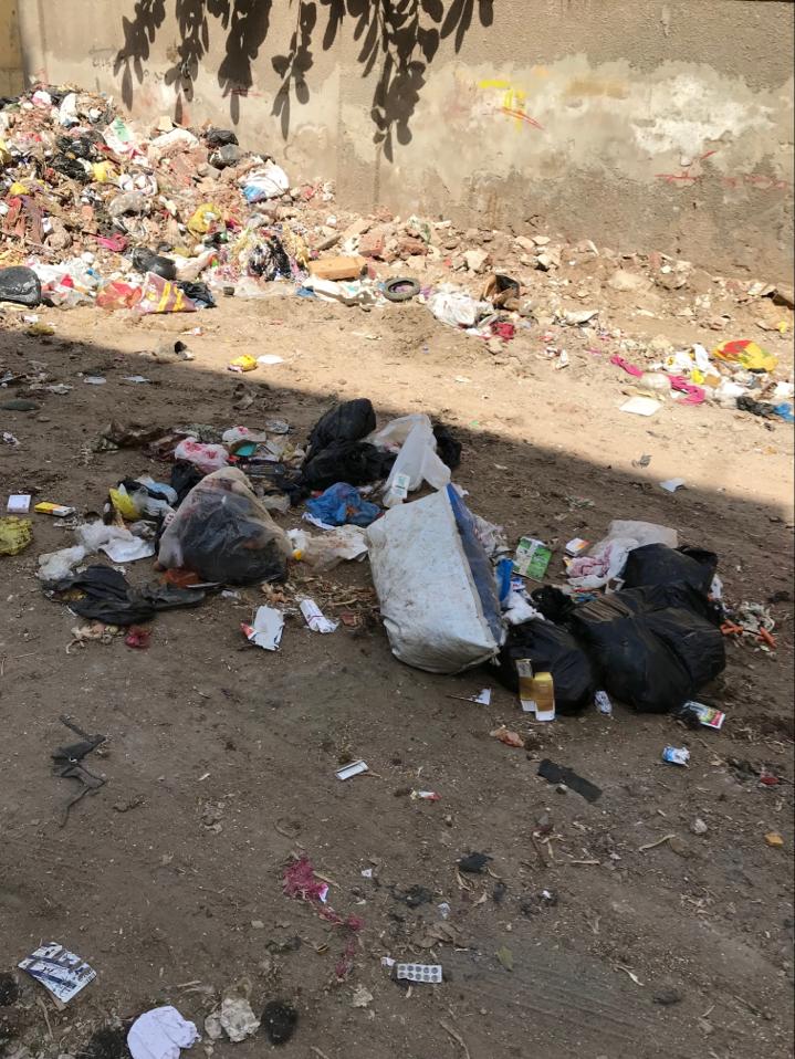 القمامة تحاصر مدينة زفتي في الغربية (7)