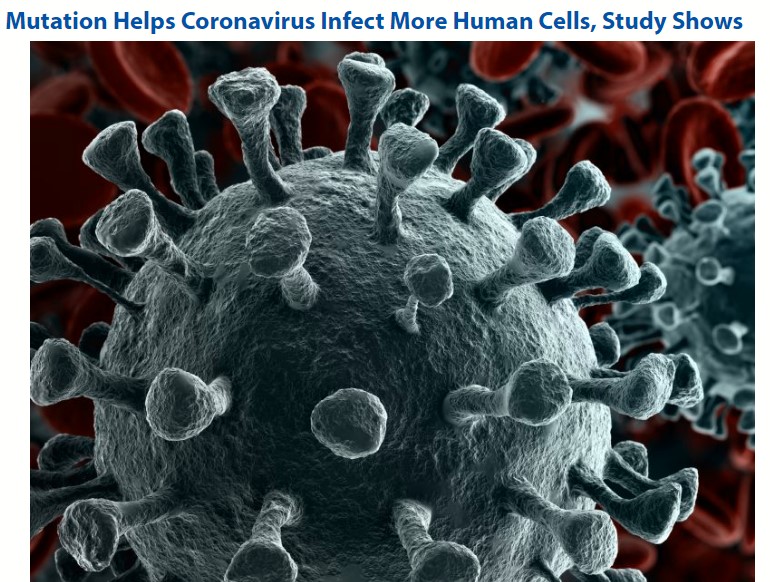 سالة فيروسكورونا سالة فيروسكورونا