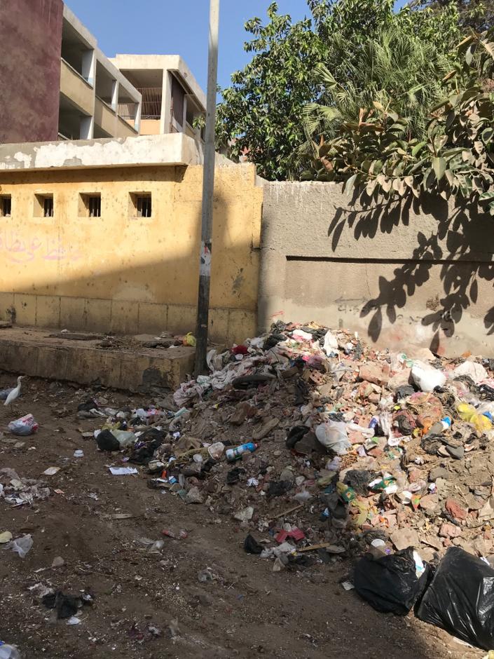 القمامة تحاصر مدينة زفتي في الغربية (1)