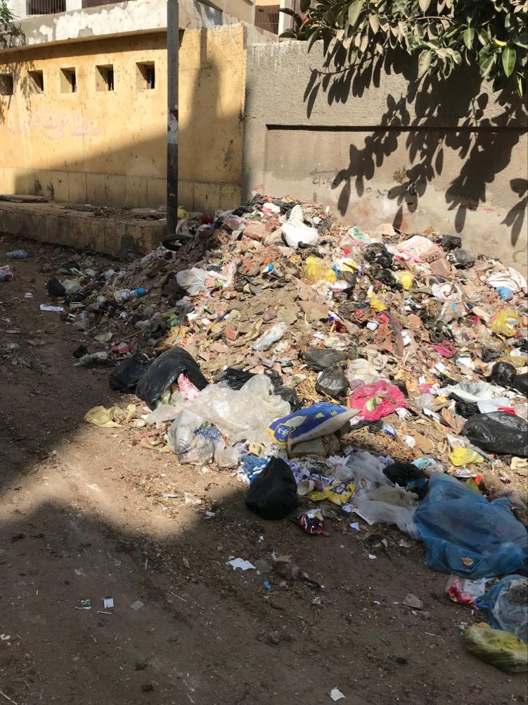 القمامة تحاصر مدينة زفتي في الغربية (5)