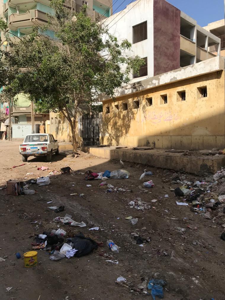 القمامة تحاصر مدينة زفتي في الغربية (6)