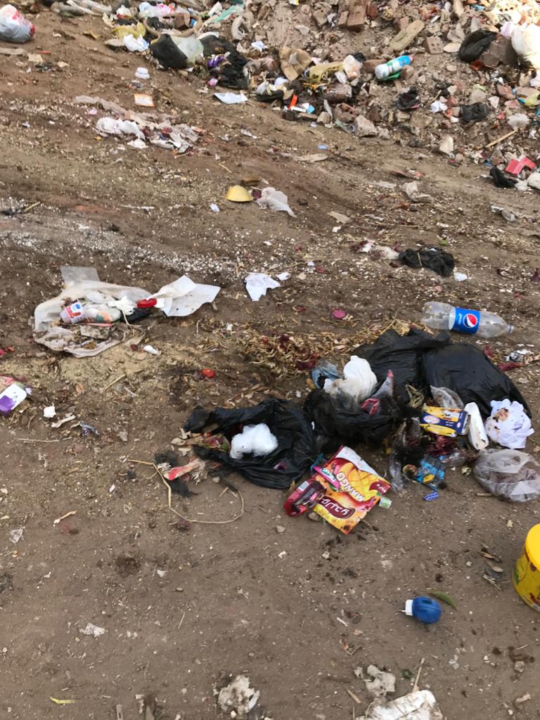 القمامة تحاصر مدينة زفتي في الغربية (2)