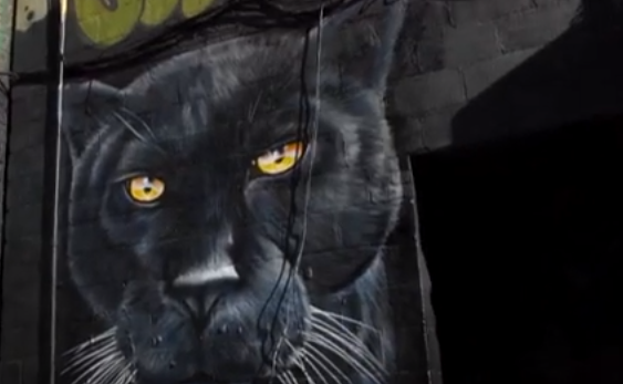 جانب من الجداريات (6)