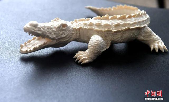 أسماك وحيوانات بحرية من العجين (11)