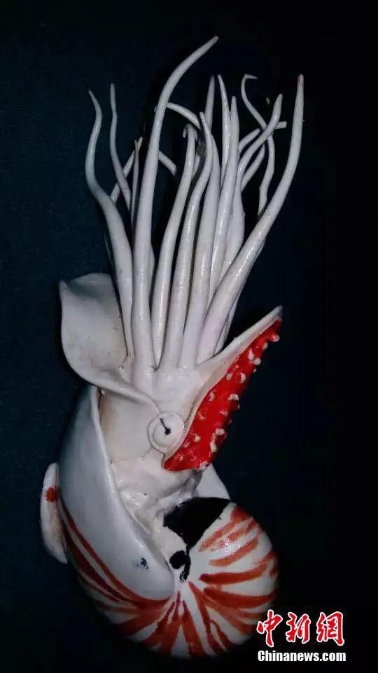 أسماك وحيوانات بحرية من العجين (6)