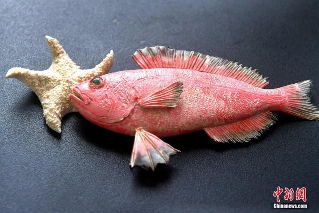 أسماك وحيوانات بحرية من العجين (9)