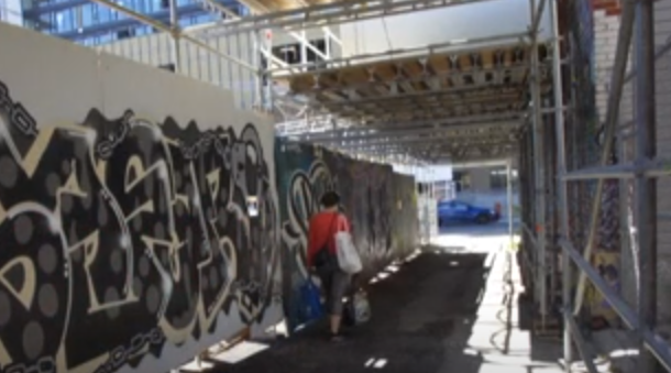 جانب من الجداريات (5)