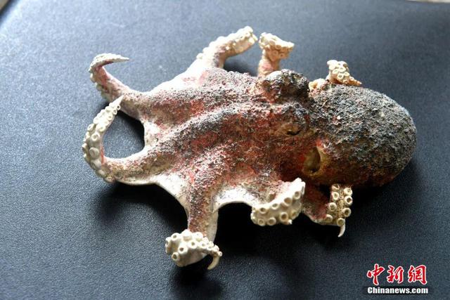 أسماك وحيوانات بحرية من العجين (10)