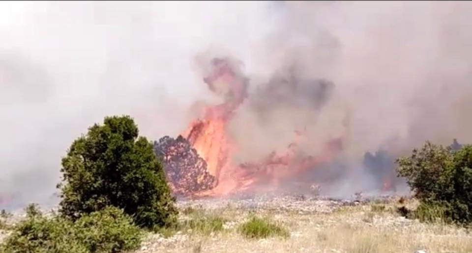 الهرمل تحترق (4)