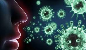 فيروس كورونا والسلالة الجديدة
