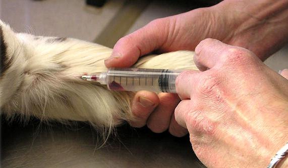 الموت الموت