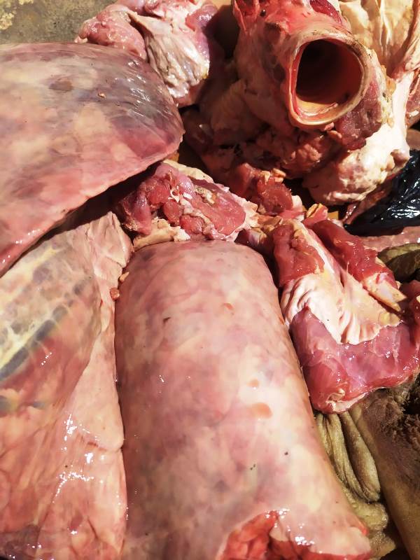 لعدم نظافة الادوات وعدم  4