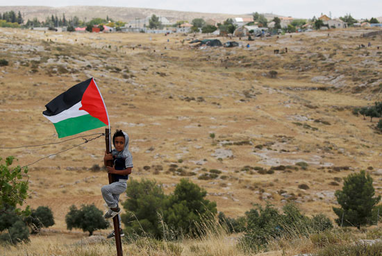 طفل يتعلق بعلم فلسطين