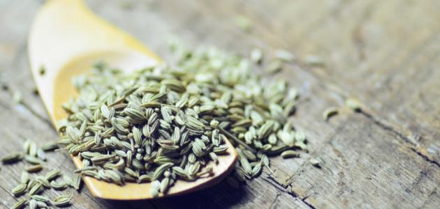 فوائد_الشمر