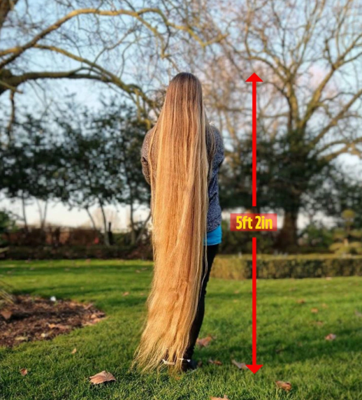 طول شعرها