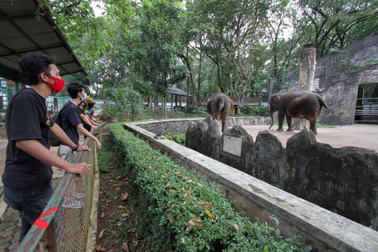 توافد الزائرين على حديقة الحيوان بعد إعادة فتحها