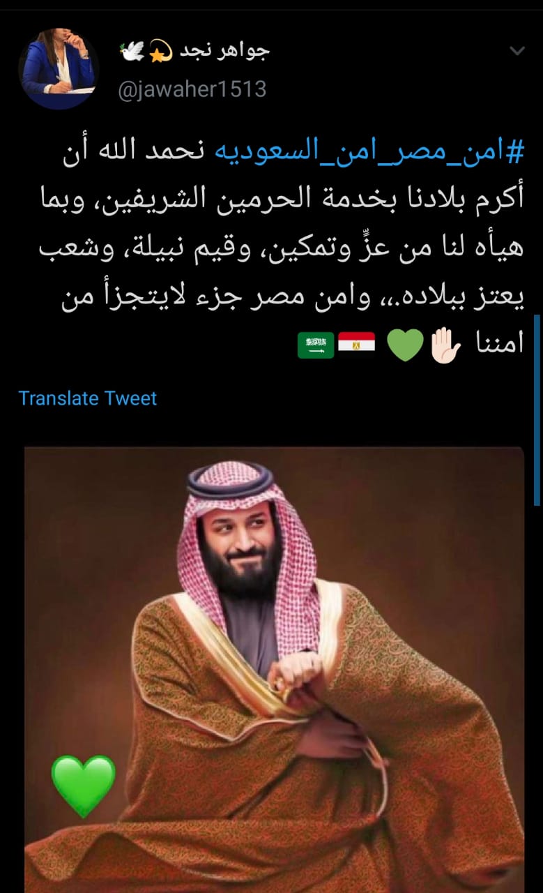 امن مصر امن السعودية (8)