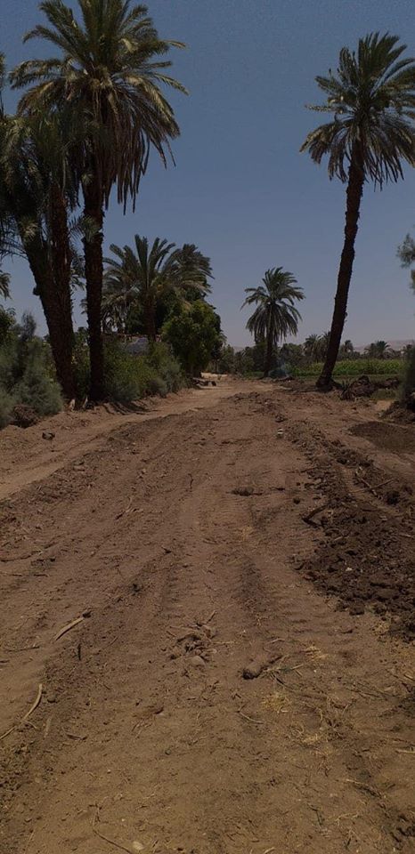رصف طريق السكة الحديد القديم لتمهيد الطرق بين قرية الدير والحليلة  (1)