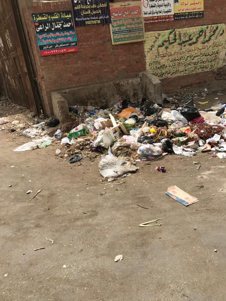 القمامة تحاصر شوارع زفتي  (4)