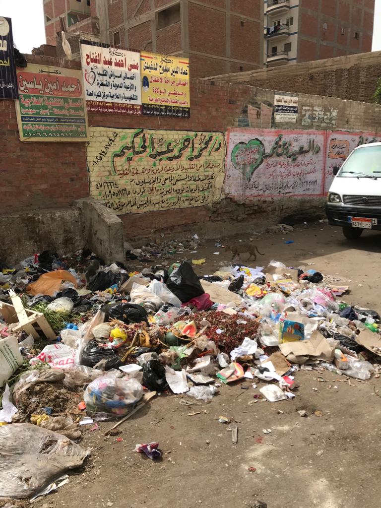 القمامة تحاصر شوارع زفتي  (1)