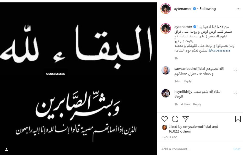 آيتن عامر