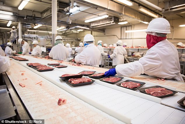 مصانع تعبئة اللحوم