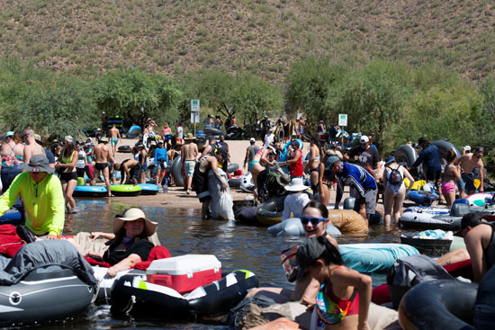 التزاحم للسباحة فى نهر بولاية أريزونا