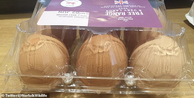 زبائن المحلات الشهيرة في بريطانيا ينتقدون وضع البيض في علب بلاستيك  (1)