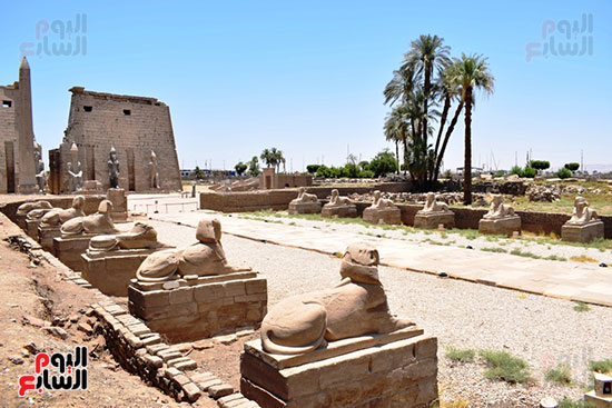 المعابد-والمقابر-الفرعونية-بالأقصر-جاهزة-للإحتفال-(21)