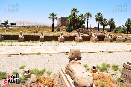 المعابد-والمقابر-الفرعونية-بالأقصر-جاهزة-للإحتفال-(24)
