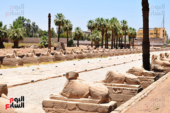 المعابد-والمقابر-الفرعونية-بالأقصر-جاهزة-للإحتفال-(17)