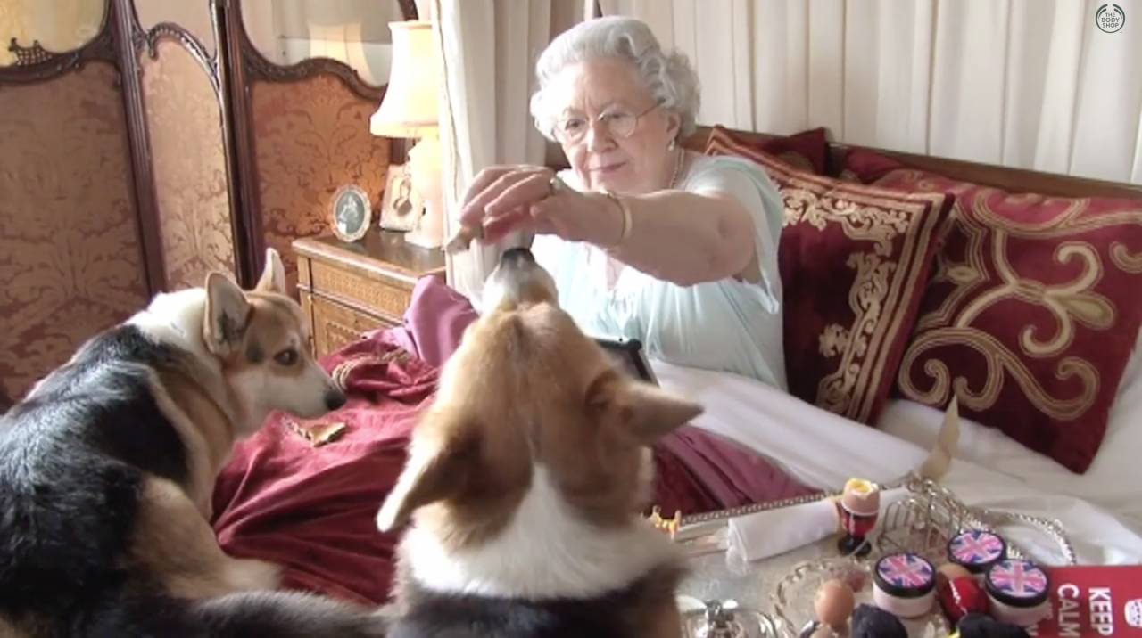 الملكة إليزابيث تطعم الكلاب