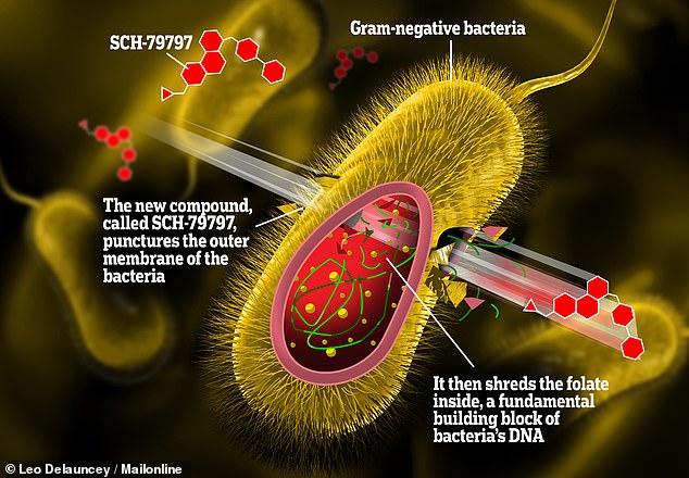 ديلى ميل اكتشاف مضاد حيوى جديد يقتل البكتيريا الشرسة دون مقاومة اليوم السابع