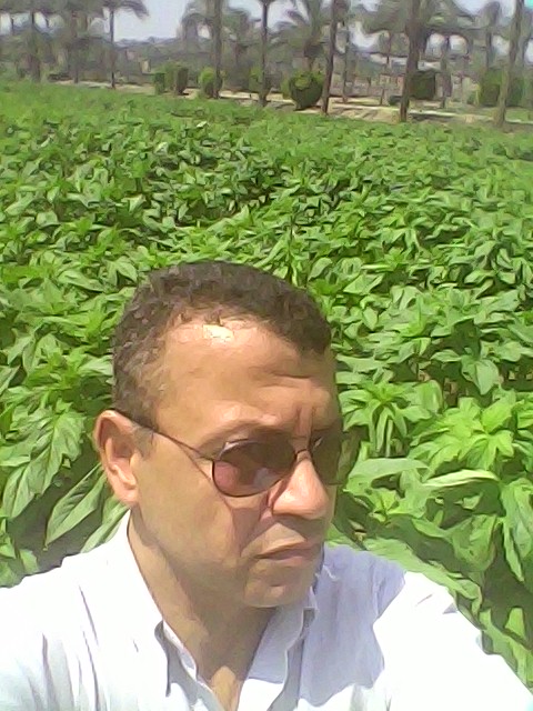 الدكتور الحسين محمد الننى ،  باحث أول فى قسم بحوث المحاصيل الزيتية بمعهد المحاصيل الحقلية