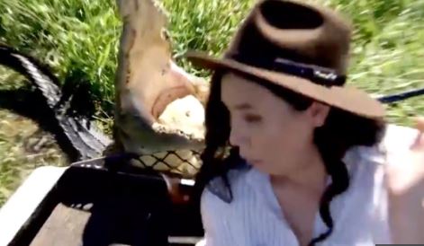تمساح ضخم يقفز للهجوم على مذيعة استرالية (1)