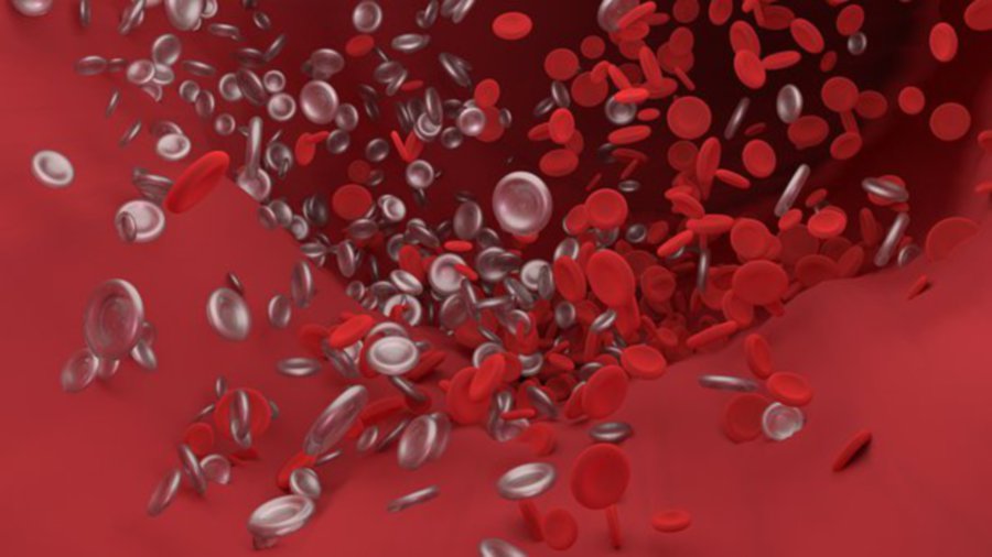 blood_1588674610 blood_1588674610
