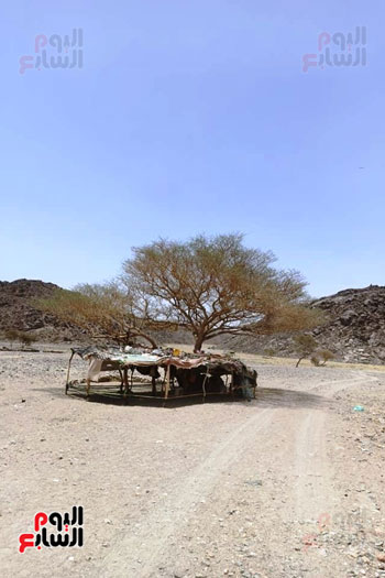 فى الصحراء الشرقية محطات معروفة لرعاة الأبل والاغنام  (5)