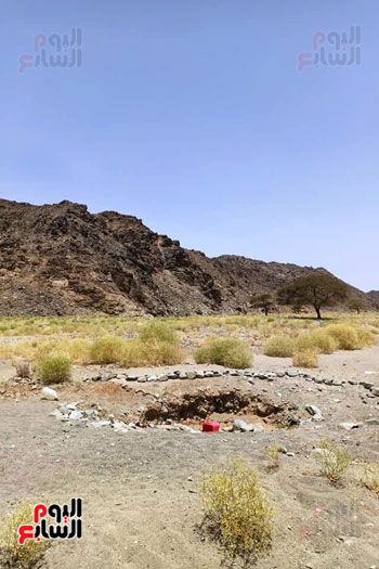 فى الصحراء الشرقية محطات معروفة لرعاة الأبل والاغنام  (6)