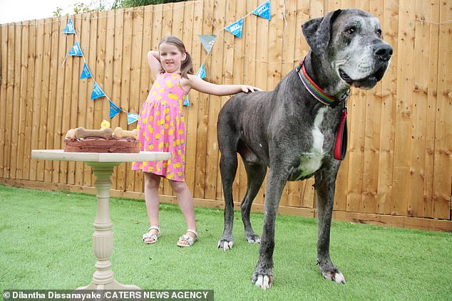 أطول كلب فى العالم  (2)