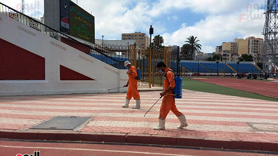 محافظ الإسكندرية يعلن عودة النشاط الرياضى  (14)