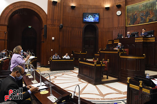 لجنة الخطة والموازنة بمجلس النواب (2)