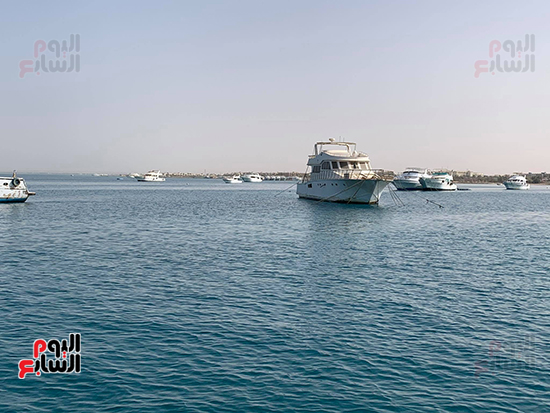 كيف استعدت وزارة البيئة لعودة عمل مراكز الغوص بالبحر الأحمر (9)
