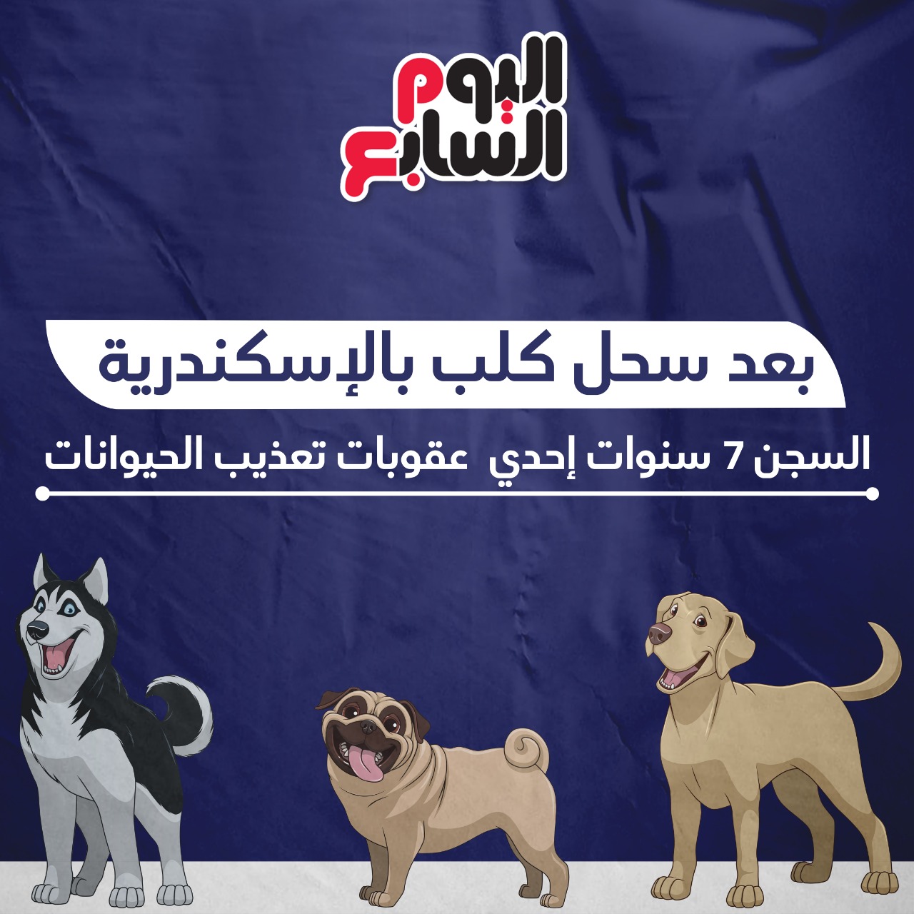  السجن 7 سنوات عقوبة واقعة السحل فى الإسكندرية (1)